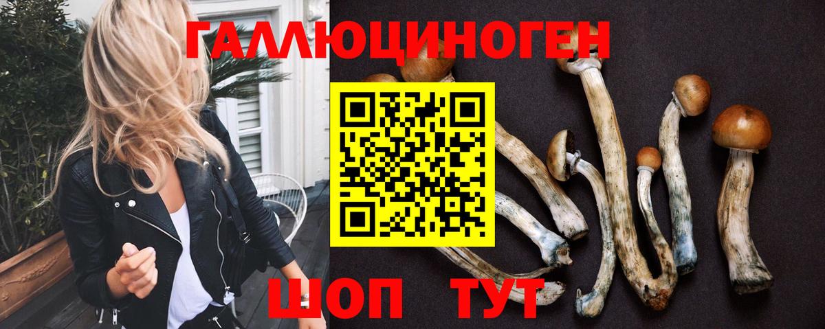 Галлюциногенные грибы мицелий  Вход с VPN  Магадан 